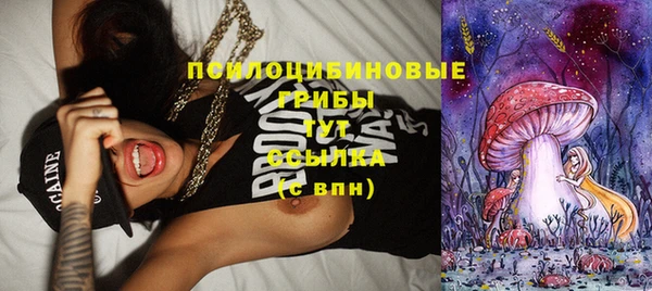MDMA Premium VHQ Михайловка