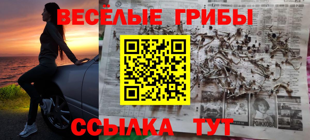 Галлюциногенные грибы мухоморы Миллерово